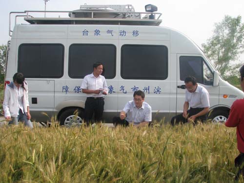 中网通信研发的滨州移动气象台应用于“三夏”生产