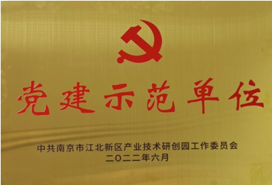 南京中网党总支召开七一表彰大会